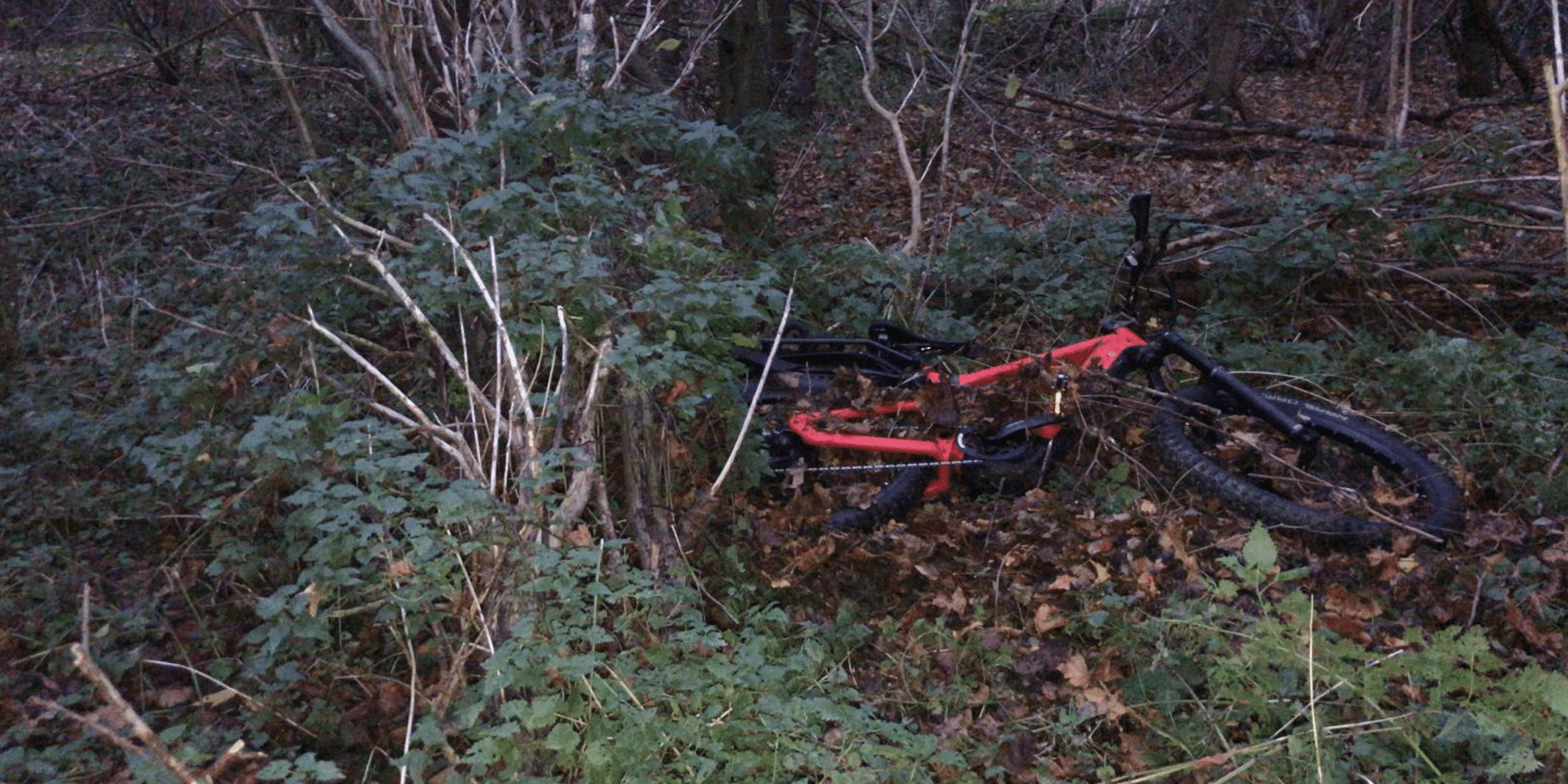 rotes Fahrrad liegt in einem Busch